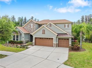 19118 Sweet Clover Ln, Tampa, FL 33647