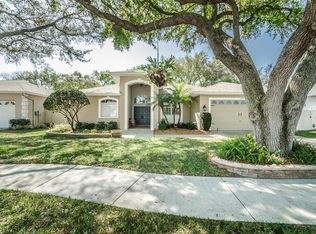 2425 Dana Dr, Safety Harbor, FL 34695