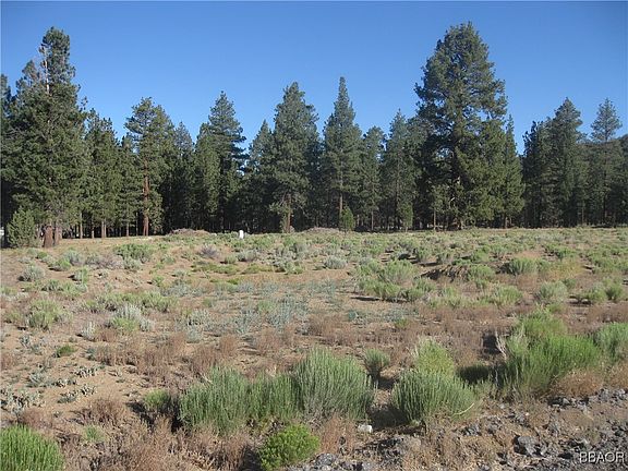 4th image of 2824 Erwin Ranch Rd