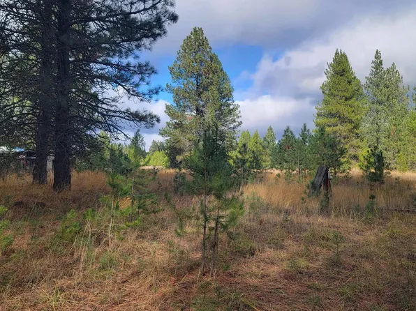 652 Jorgens Rd, Newport, WA 99156