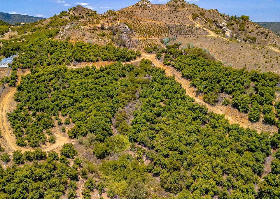 1st image of 1 Los Gatos Rd