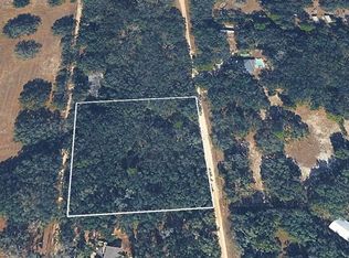 8856 N Himalayas Point, Dunnellon, FL 34433