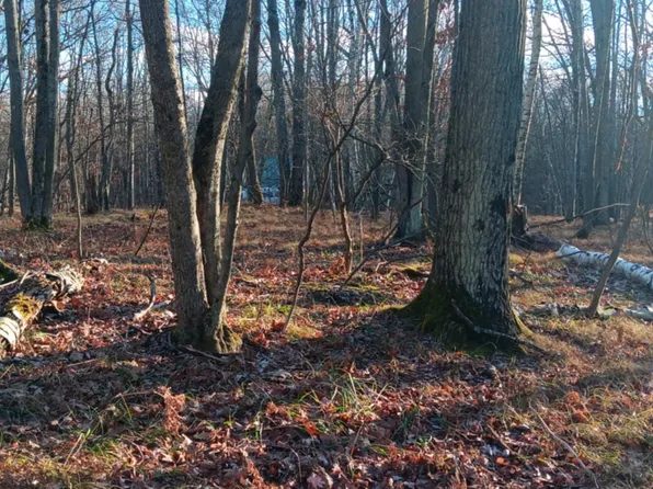 1782 Hemlock Ln, Farwell, MI 48622