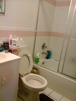 Rented by 18 REALTY | media 23