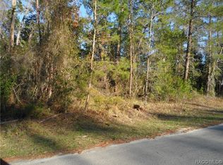 4 Petunias Ct, Homosassa, FL 34446
