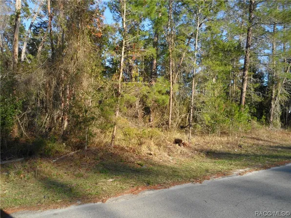 4 Petunias Ct, Homosassa, FL 34446