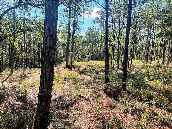 5th image of 0 State Highway 225 Lot 3