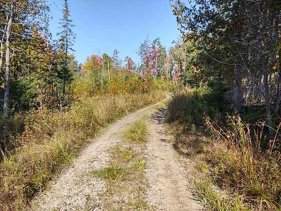 2nd image of 2804 Chaskey Road 80 Acres