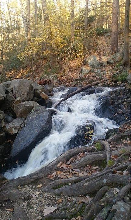 2nd image of 3 Lakes Rd