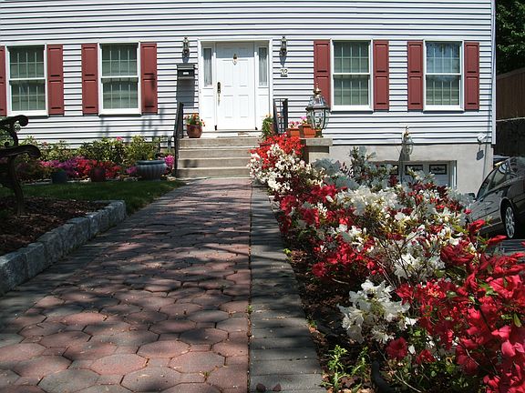 Spring flowers