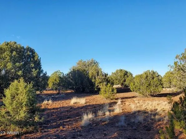 014P Weber Way, Show Low, AZ 85901