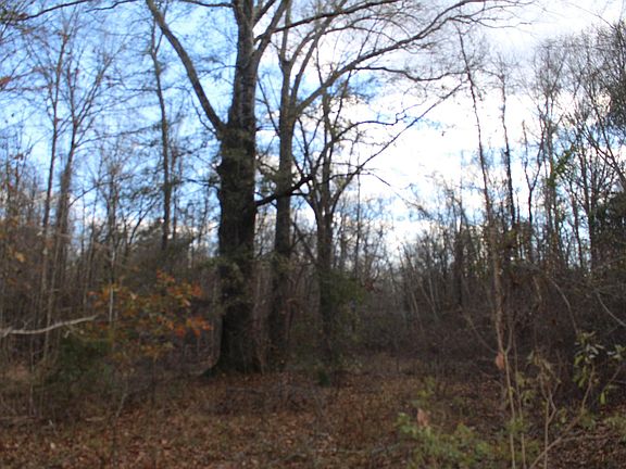 3rd image of 47 Acres On Cr45 Tuskegee