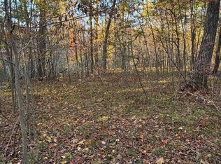 Maple Hill Rd PARCEL D, Howard City, MI 49329