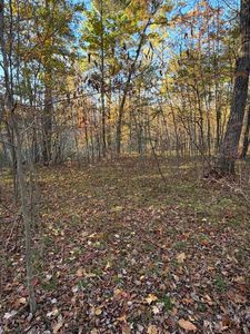 Maple Hill Rd Parcel A, Howard City, MI, 49329