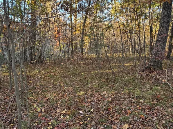 Maple Hill Rd Parcel B, Howard City, MI 49329