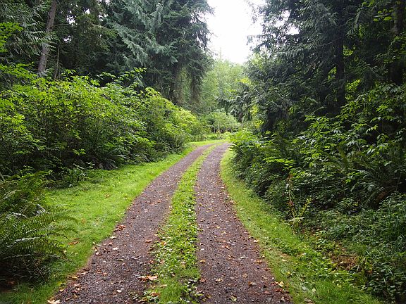 Driveway to building site