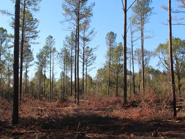 7 Mac Pate Rd, Cedarbluff, MS 39741