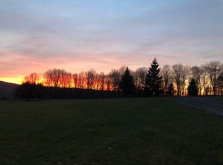 1055 Hamlet View Rd, Sidney Center, NY 13839