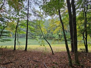 LOT 11 Baldwin Dr, Lowgap, NC 27024