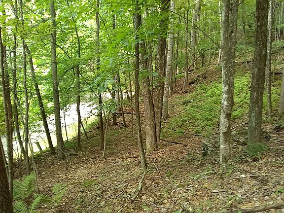 5th image of 9 Laurel Dr