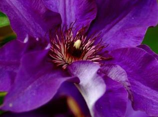 4245 Huron St, North Branch, MI 48461