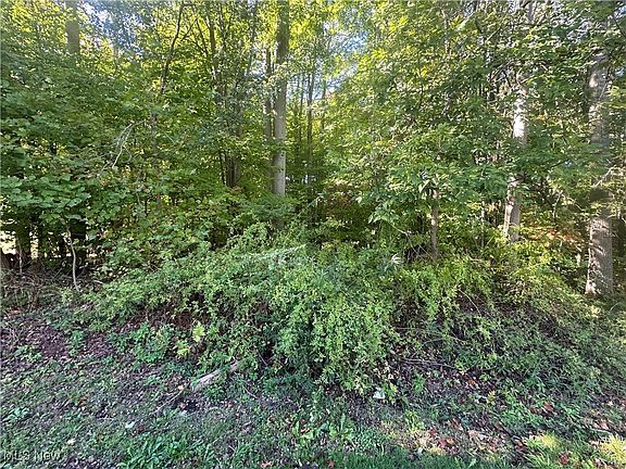 2nd image of 1732 Pearce Cir