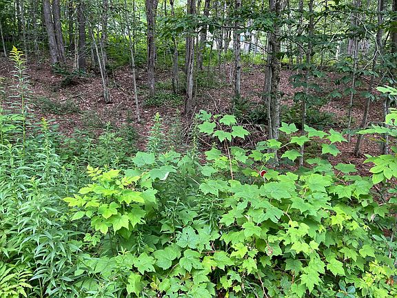 3rd image of LOT 134 Shaw Rd