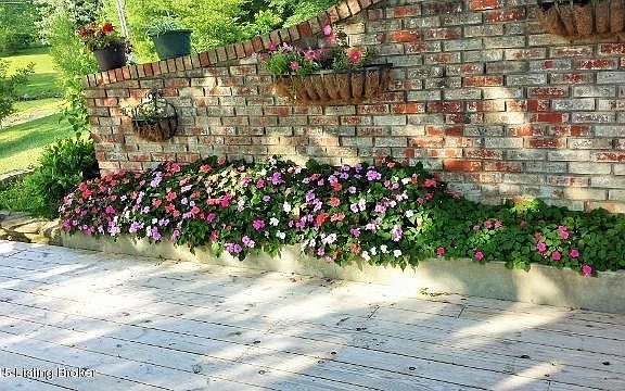 Flowers at Deck