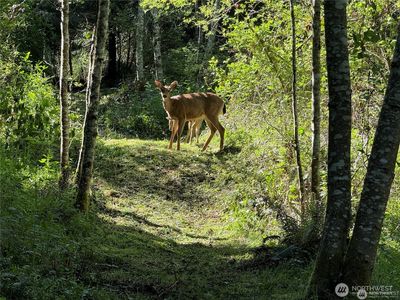 0 Highway 20, Port Townsend, WA, 98368