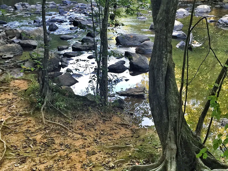 Walk nature trails across 20+ forested acres