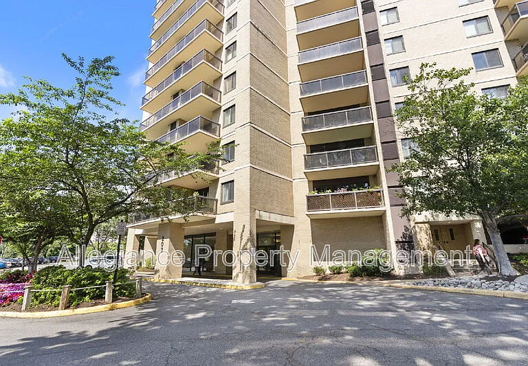 203 Yoakum Pkwy #1116 — Photo 19