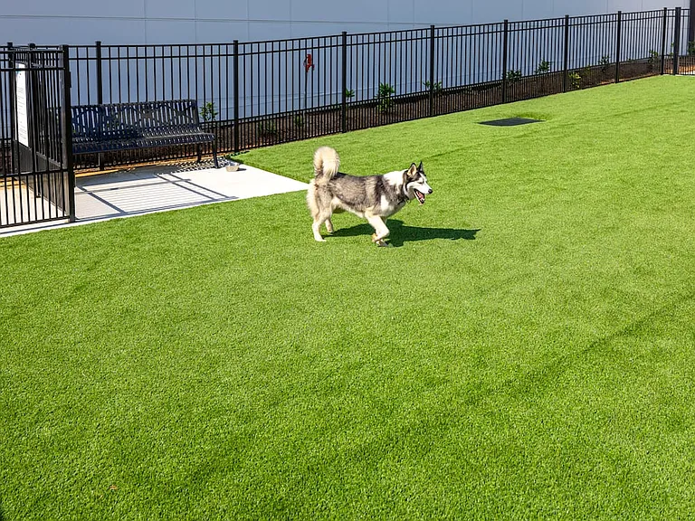 Pet-friendly community with WAG Pet Park