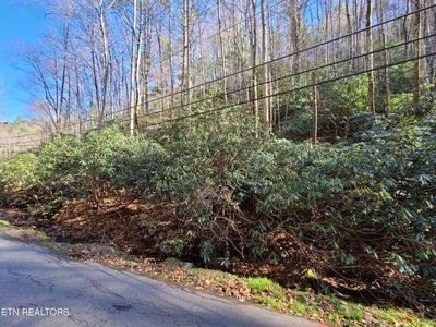LOT 17 Butler Branch Rd, Gatlinburg, TN, 37738