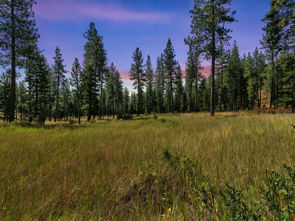 13902 Highland Trl, Alberton, MT 59820