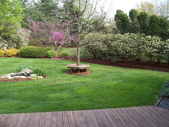 4th image of 519 Willowhurst Pl