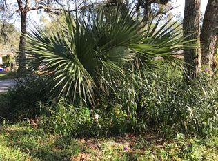 53 Big Bear Path, Ormond Beach, FL 32174
