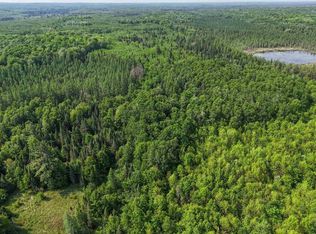 121.49 Acres Forest Rd #602, Butternut, WI 54514