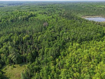 121.49 Acres Forest Road 602, Butternut, WI, 54514