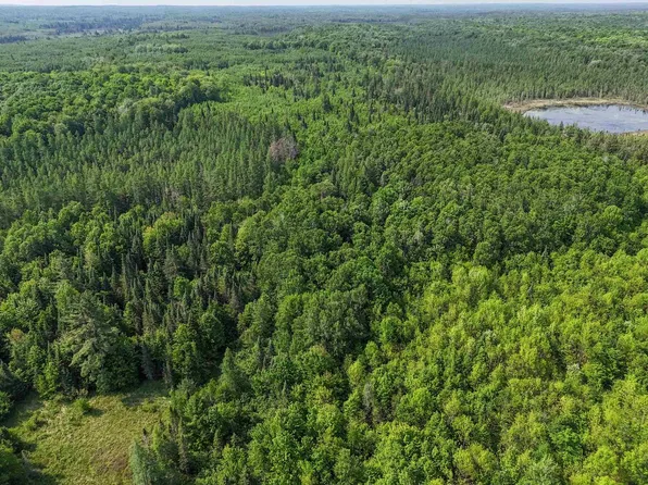 121.49 Acres Forest Road 602, Butternut, WI 54514