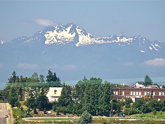 Olympic moutain view