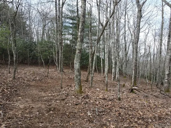 19 Glenridge Rd, Glenville, NC 28736