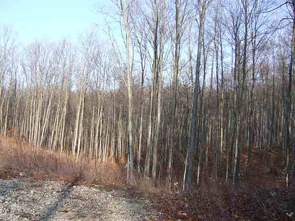 4th image of 481 Country Knolls Dr
