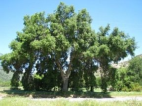 1st image of 0 Buena Loma