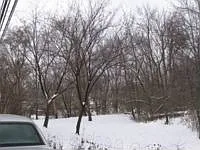 8727 Southview Ave photo 1