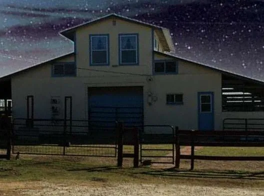 The stars are magnificent.