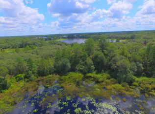 10495 NE 224th Ln, Fort McCoy, FL 32134