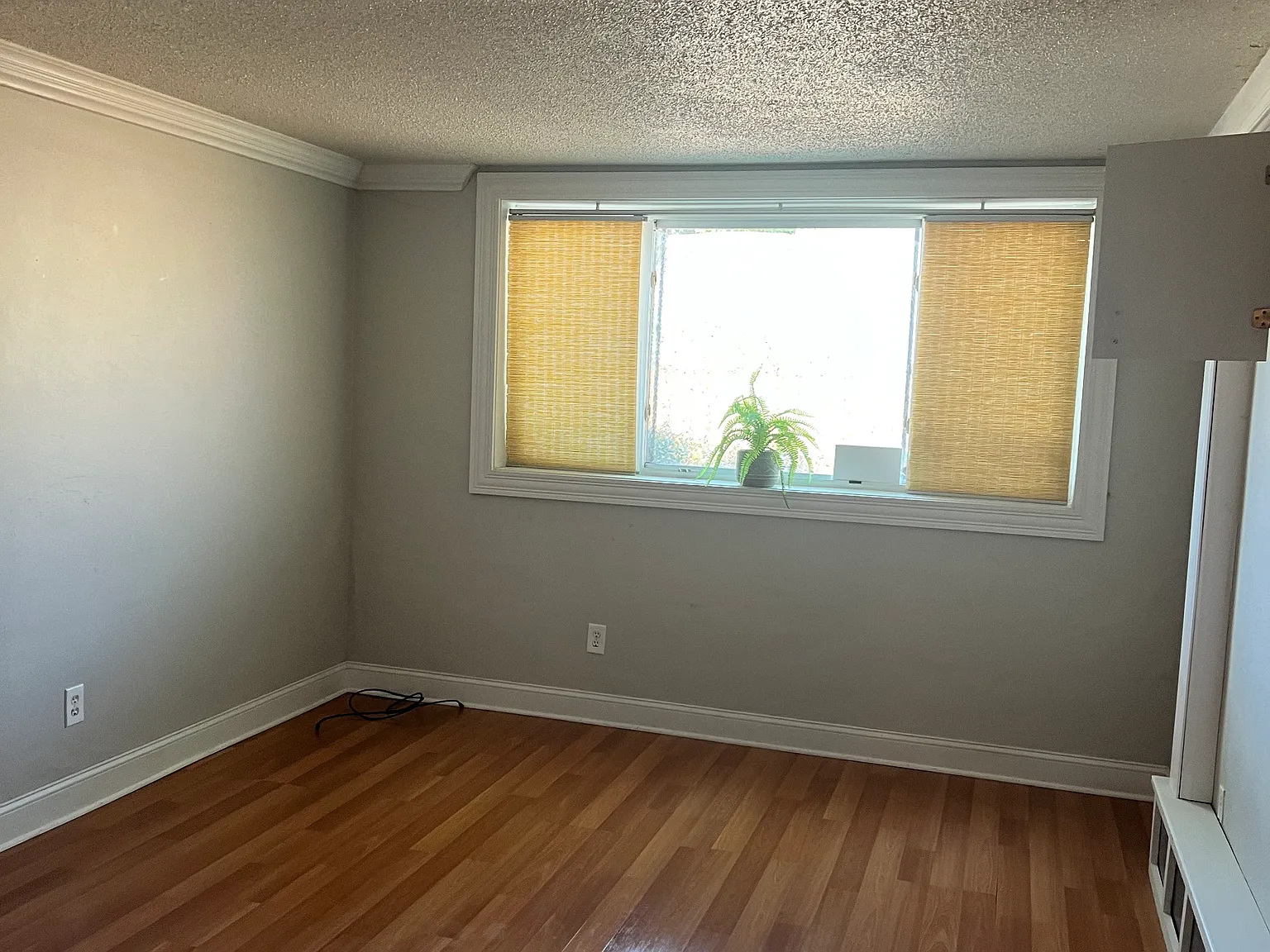 1 bed, 700 sqft, $1,400 — Photo 4