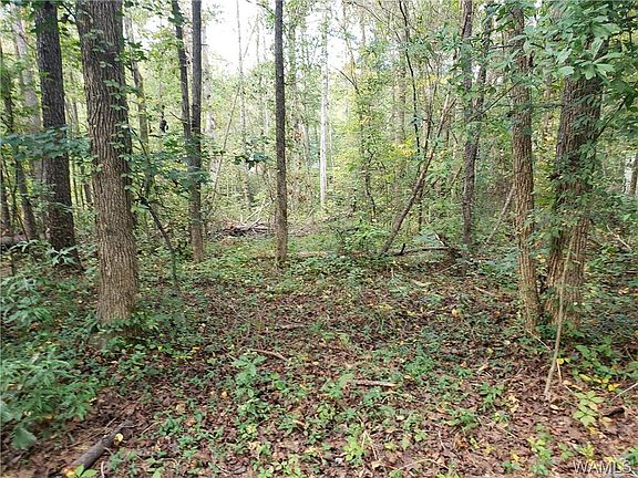 5th image of 5112 Orchard Ln