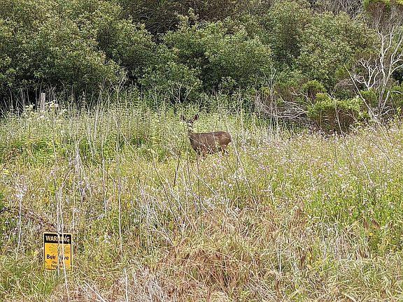 4th image of 1865 Pecho Rd