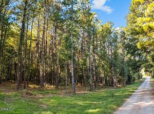 Cybur Hills Rd, Carriere, MS 39426